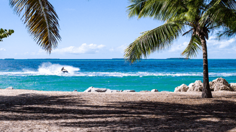 Sandy beach with rocks and palm trees in front of blue sea with person riding a jet ski